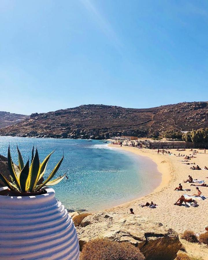 Hotel Agrari Ninemia Mykonos Exterior foto